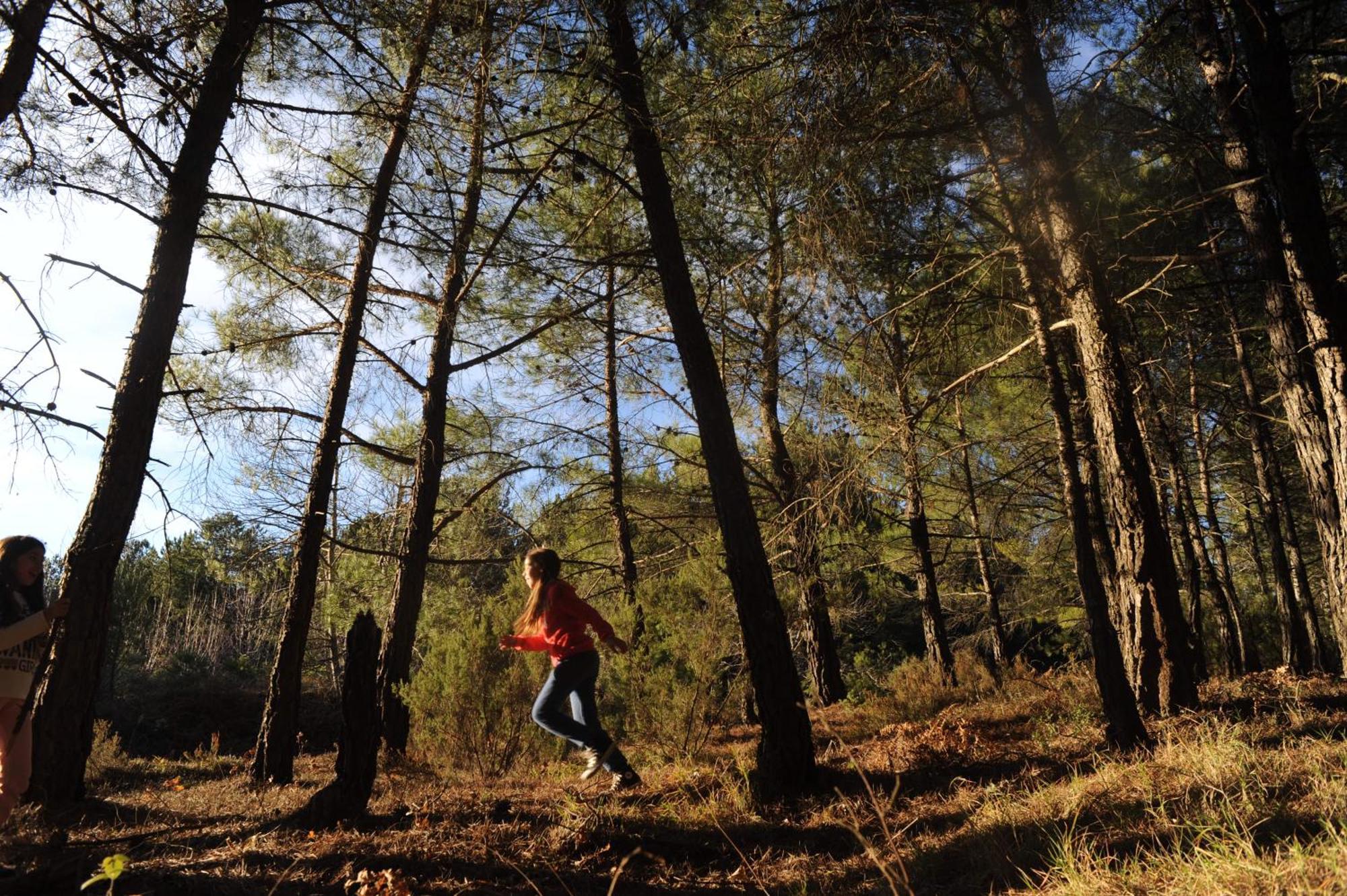 Foresta In Medias Mores Tripoli Exterior photo